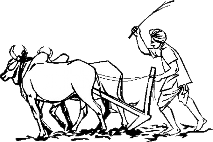 indian farmer